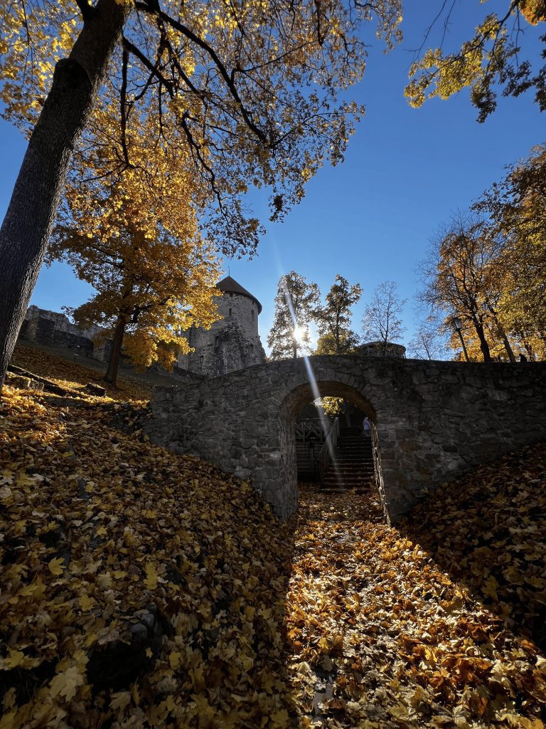 Guided Tour To Cesis5