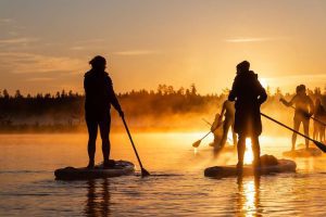 Group paddleboarding at sunrise in misty Latvian waters