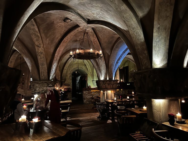 Medieval Dinner5