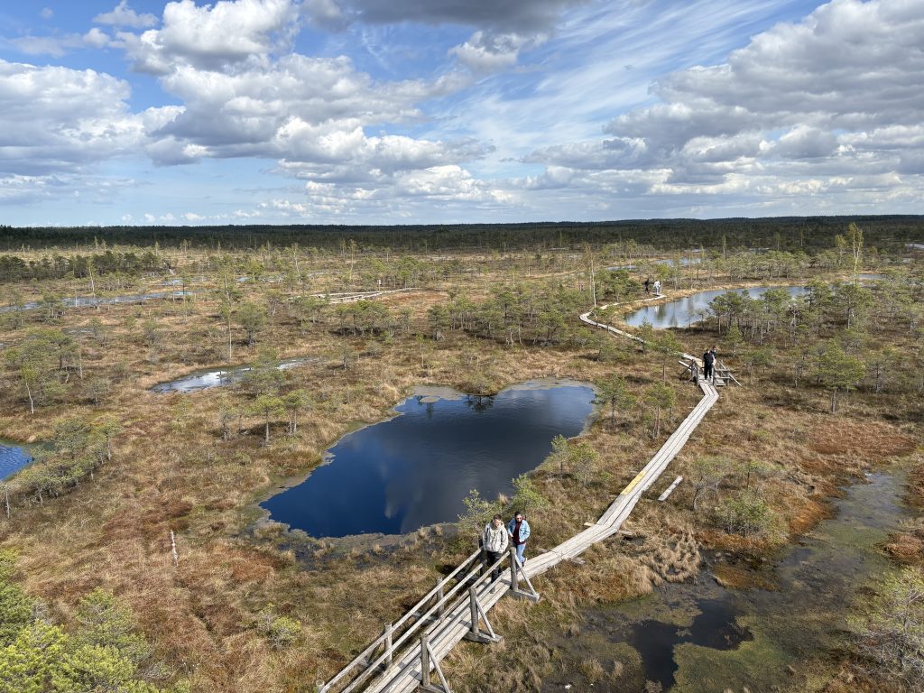 Wooden boardwalk winding through a Latvian bog with reflective blue pools and cloudy sky.