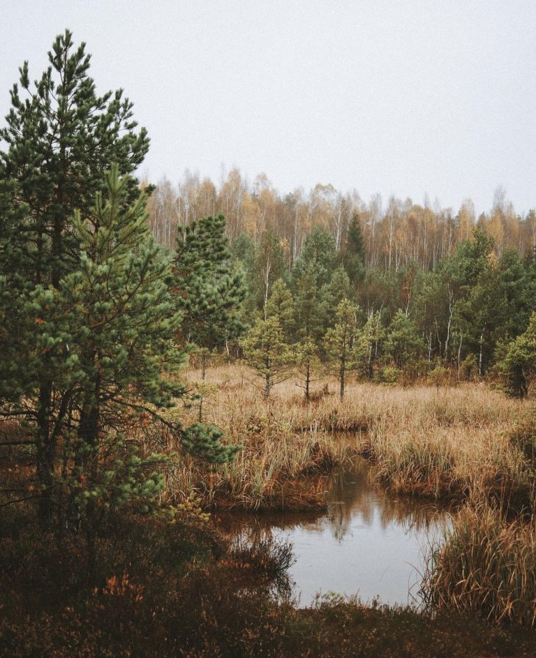 Kemeri & Jurmala4