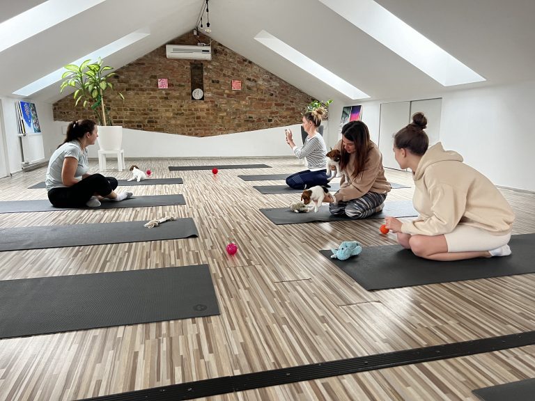 Riga Puppy Yoga4