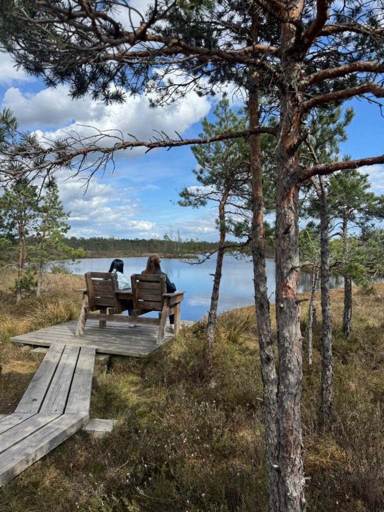 Guided Bog Walk in Ķemeri3