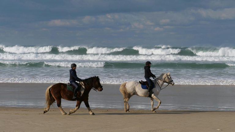 Horseback Riding3