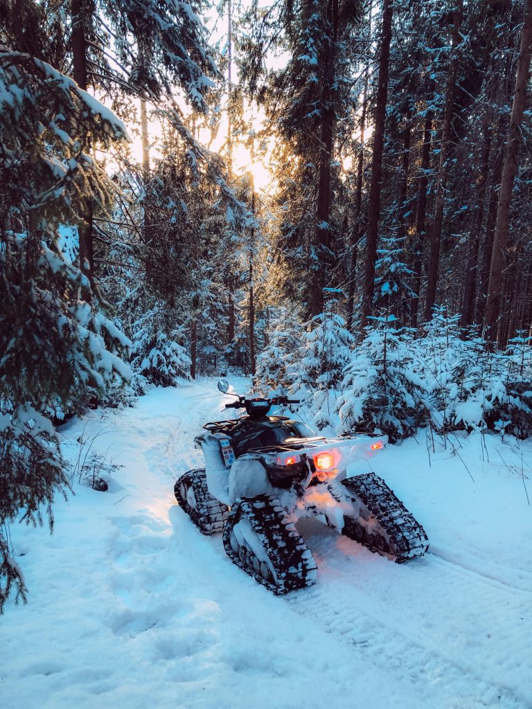Snowmobile2