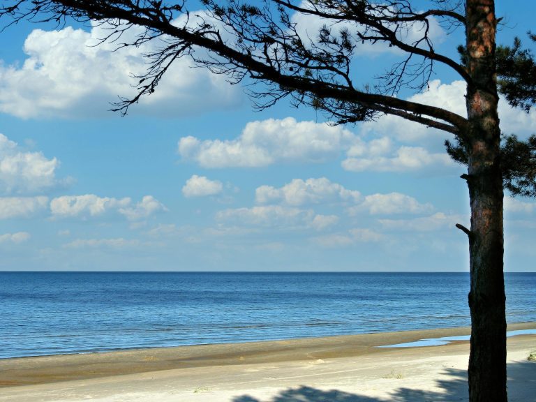 Jurmala Guided Tour3