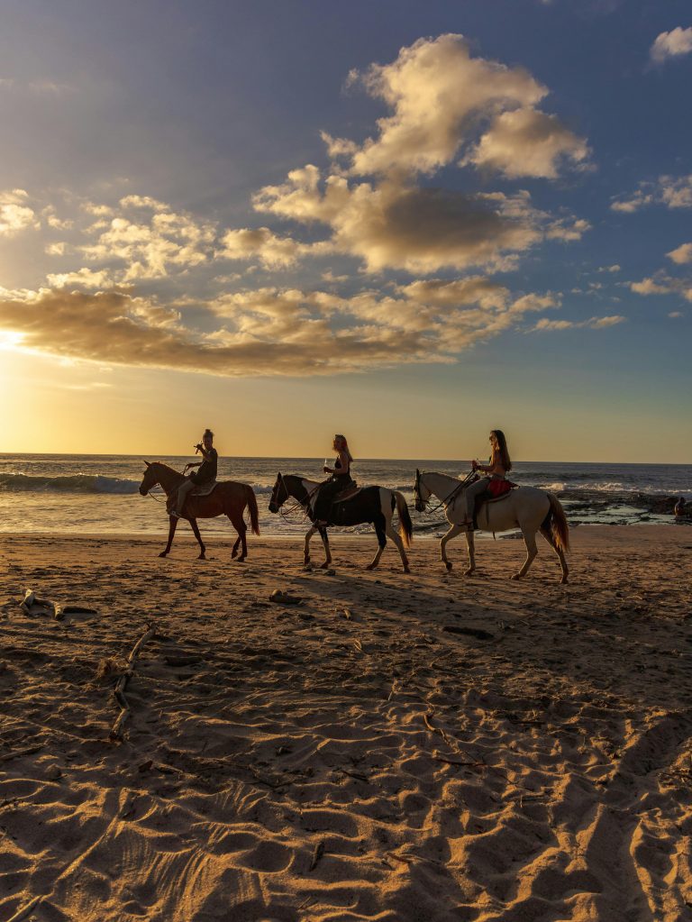 Horseback Riding2