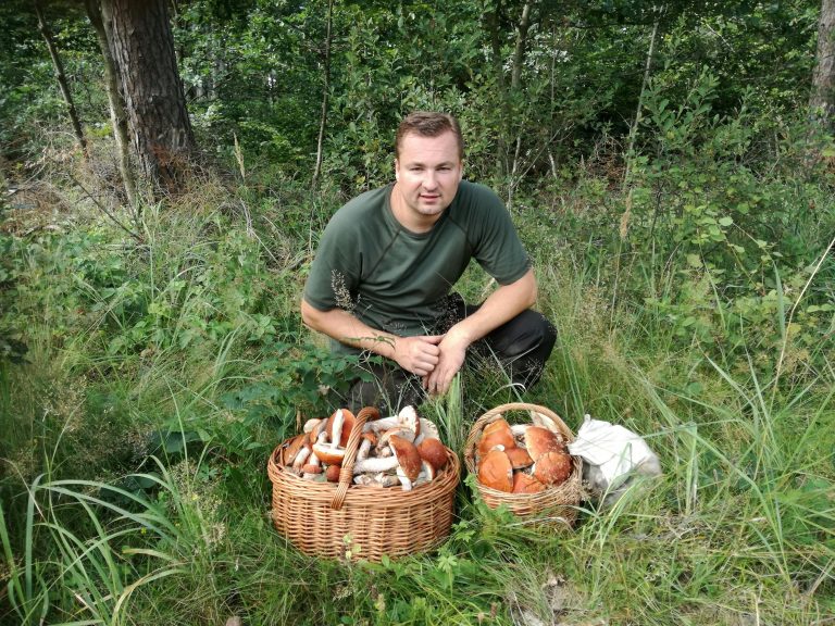 Mushroom Picking5