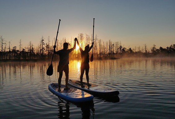 SUP Board Sunrise Adventure in the Bog2