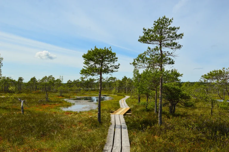 Nationalpark17