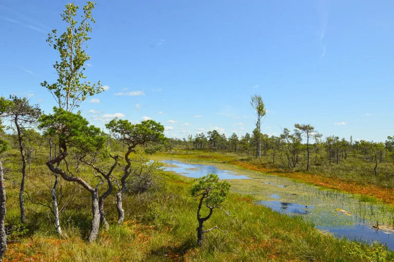 Nationalpark9